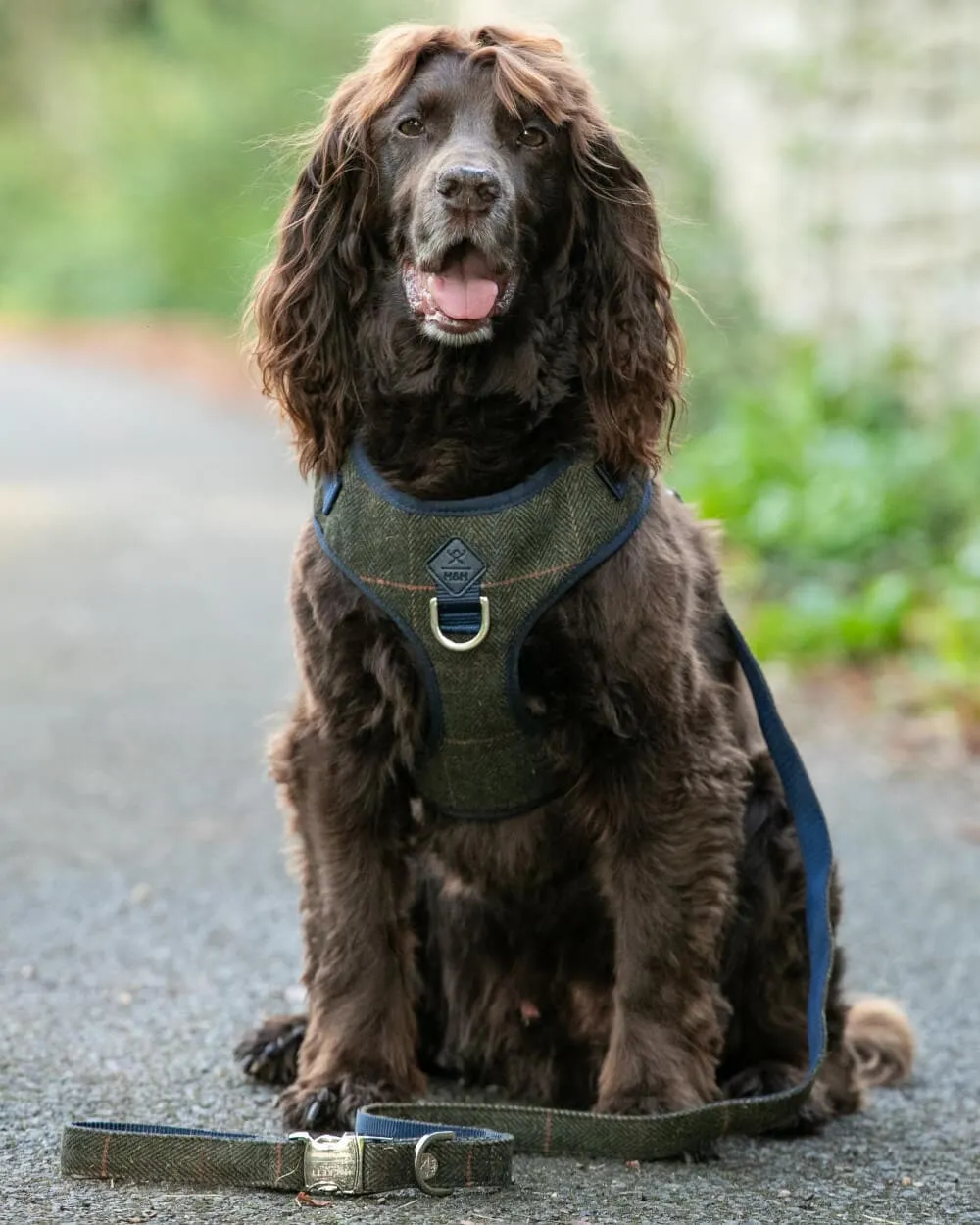 Dark Green Checked Herringbone Tweed Dog Lead