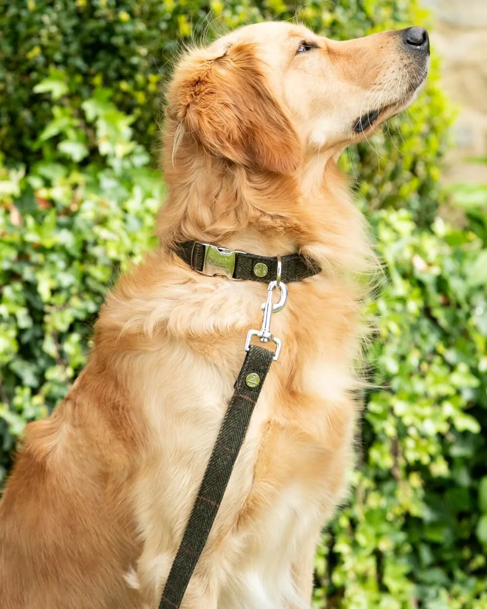 Dark Green Checked Herringbone Tweed Dog Lead