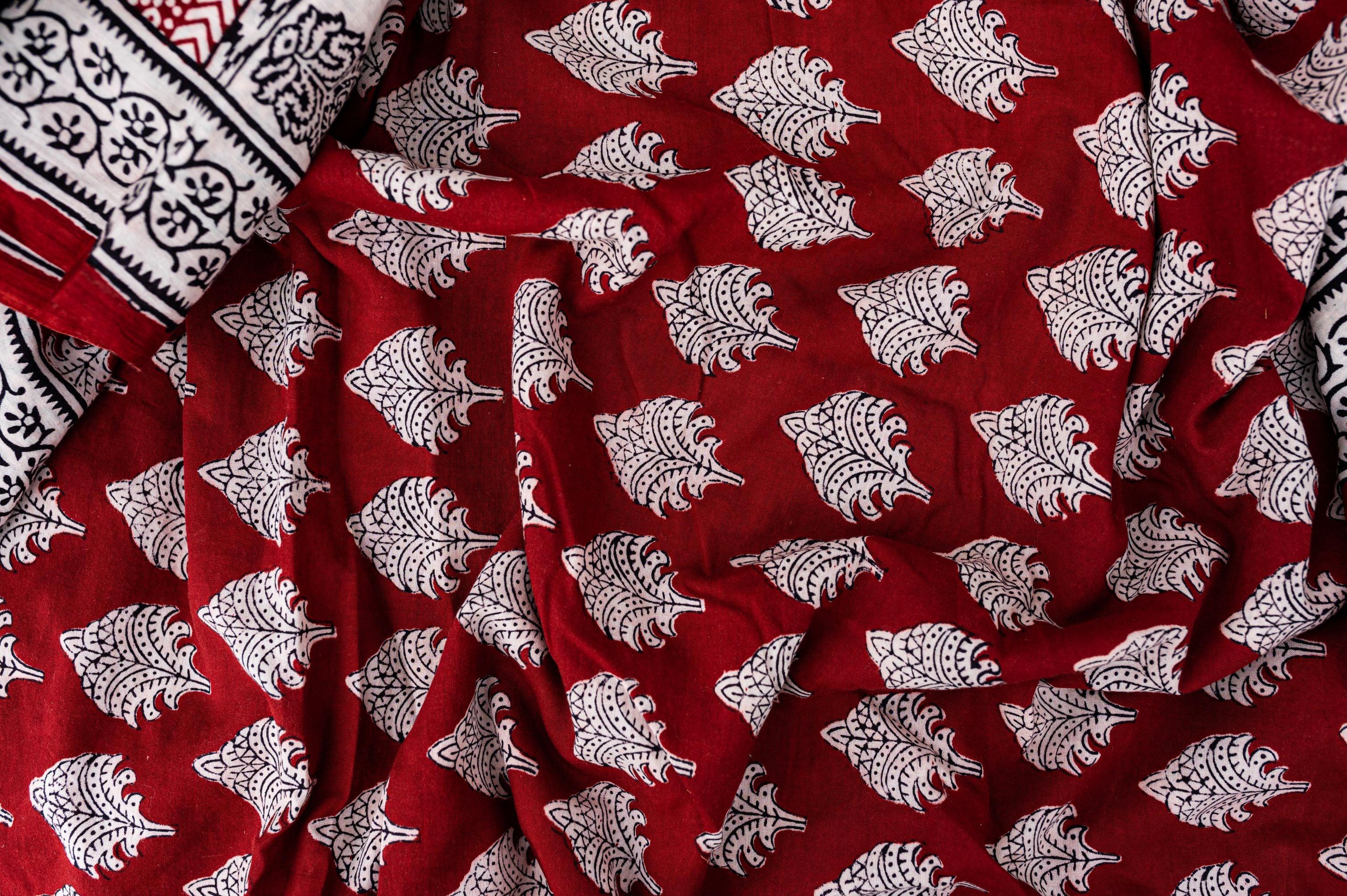 Kaisori Nandana Bagh handblockprinted cotton saree