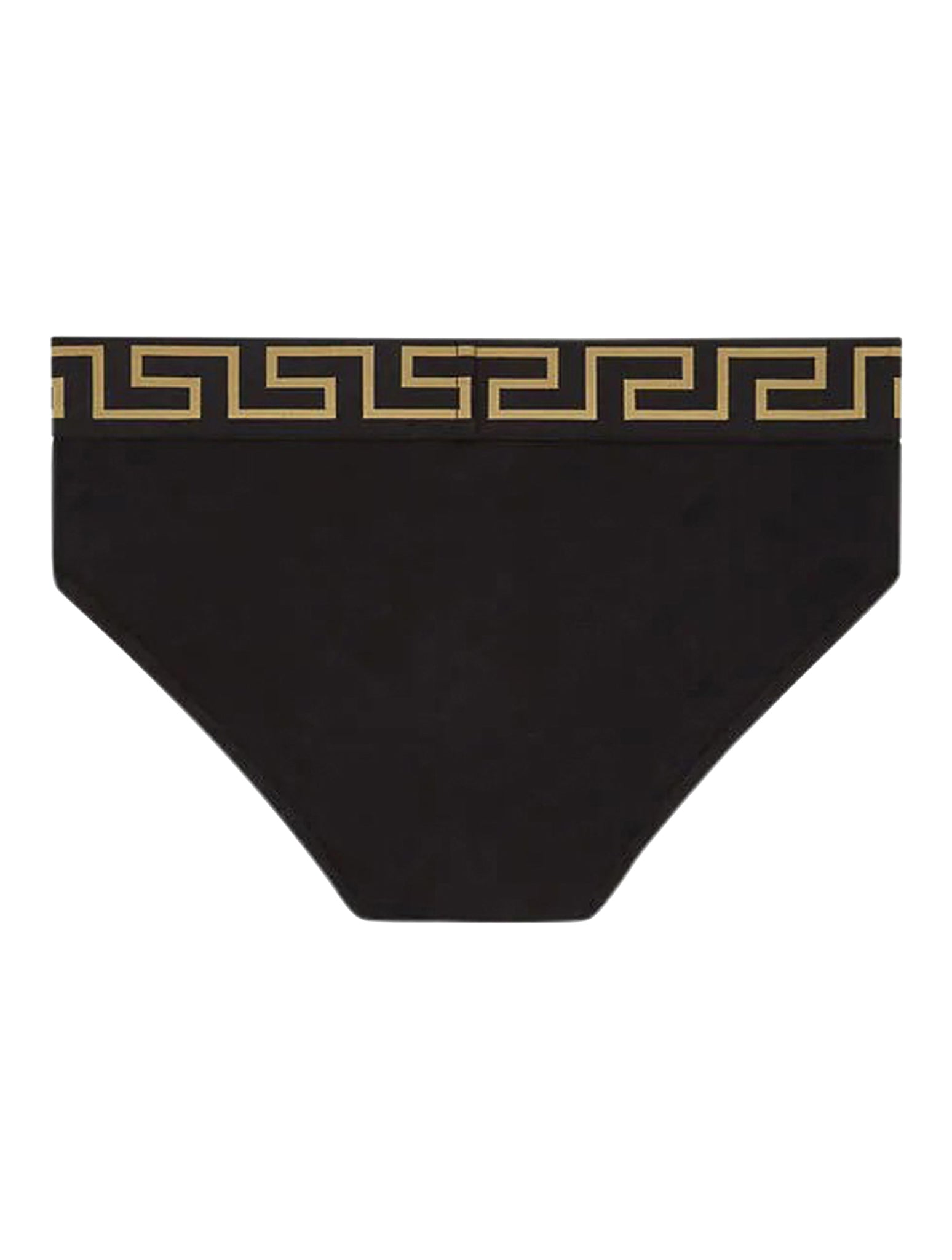 Medusa logo briefs