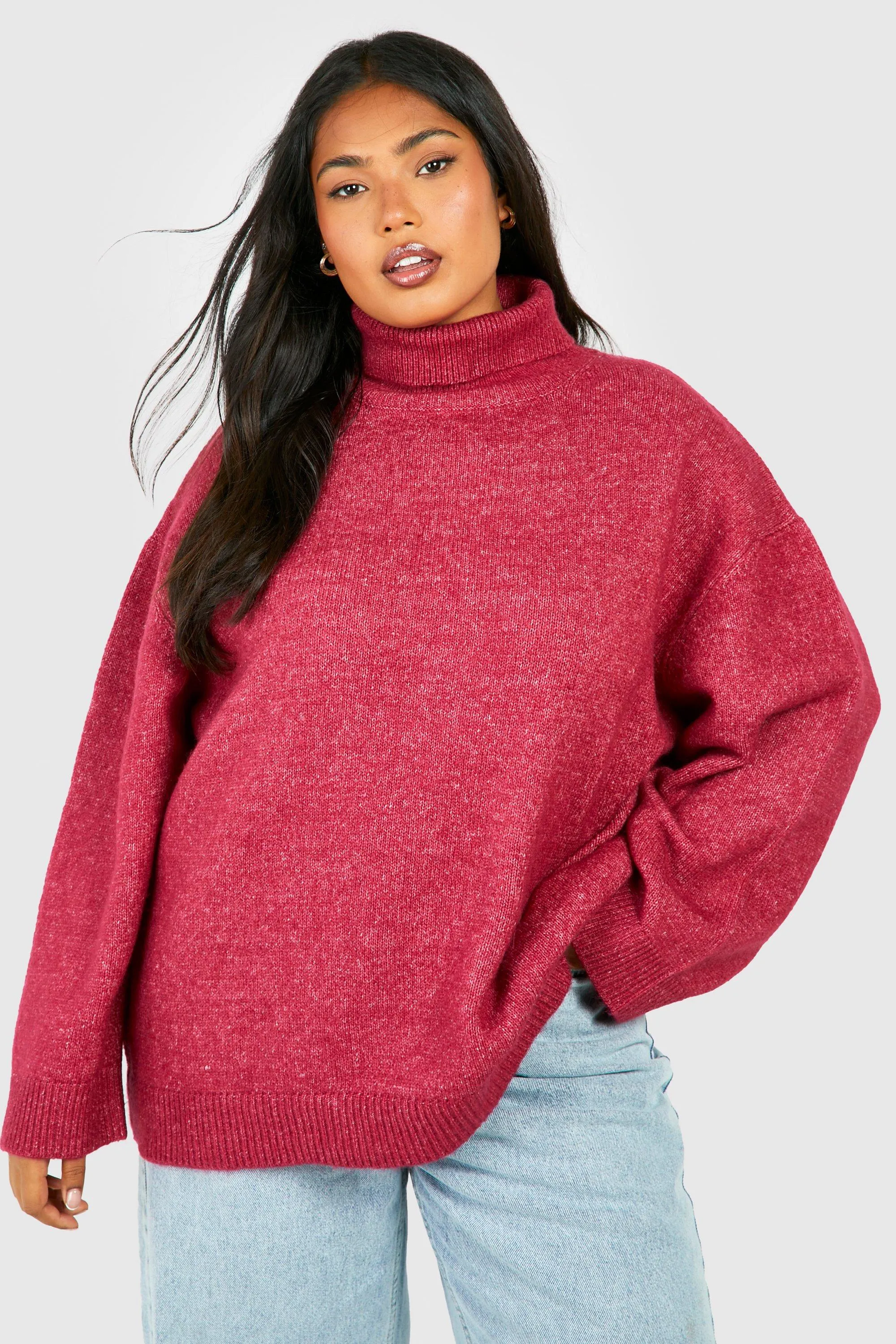 Plus Soft Knit Turtleneck Sweater